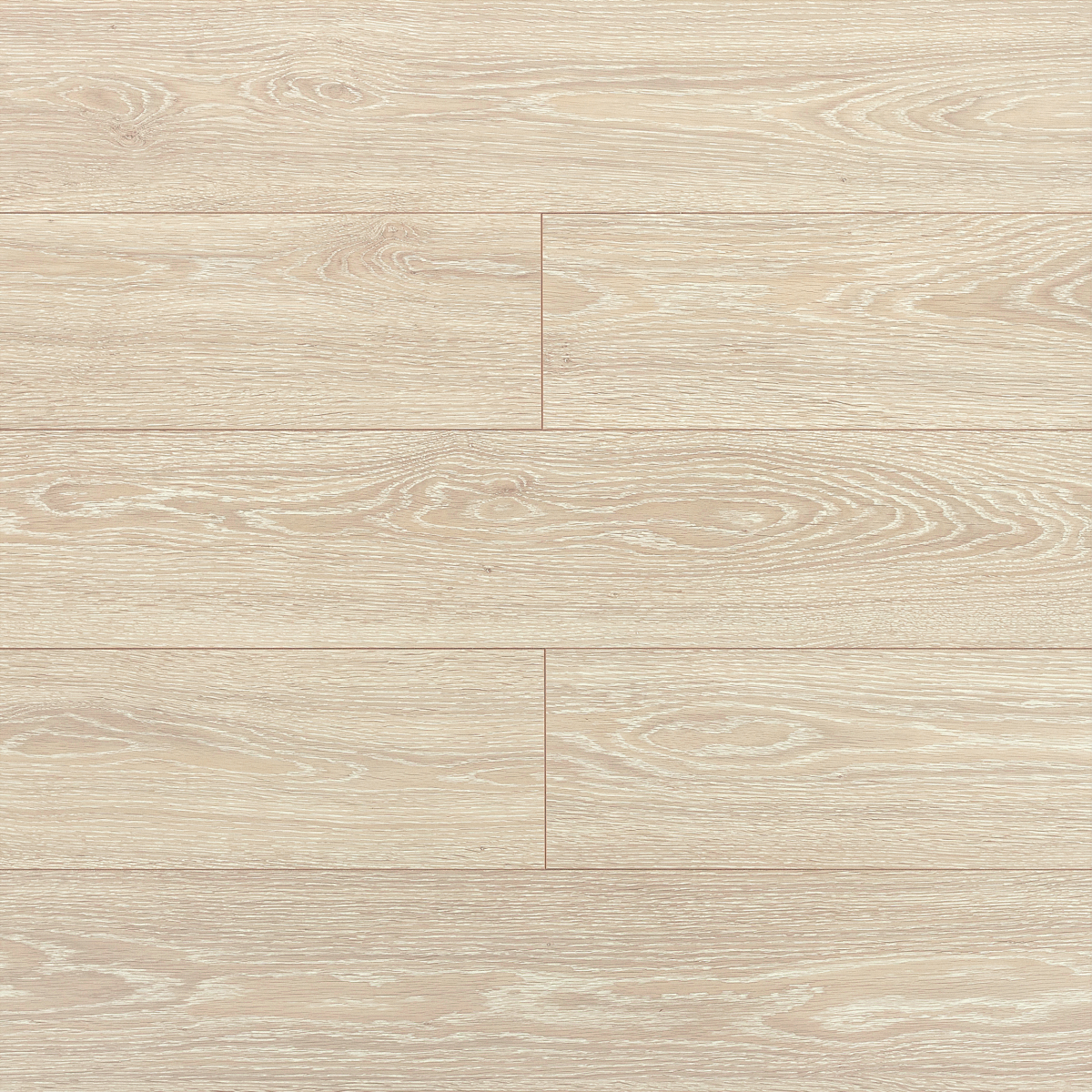 D8011 Chêne Strasbourg